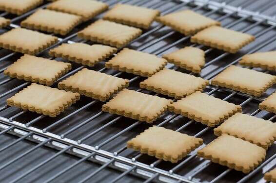 אין הבדל במתיקות ואין טעמי לוואי. הפתי בר של אסטלה // צילום: איתיאל ציון